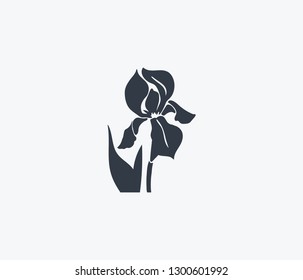 Iris icon isolated on clean background. Iris icon concept drawing icon in modern style. Vector illustration for your web mobile logo app UI design.