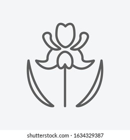 Iris icon line symbol. Isolated vector illustration of icon sign concept for your web site mobile app logo UI design.