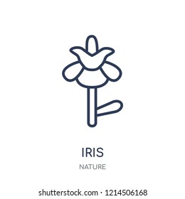 Iris icon. Iris linear symbol design from Nature collection. Simple outline element vector illustration on white background.