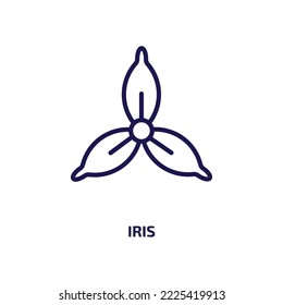 Iris Icon From Nature Collection. Thin Linear Iris, Idea, Simple Outline Icon Isolated On White Background. Line Vector Iris Sign, Symbol For Web And Mobile