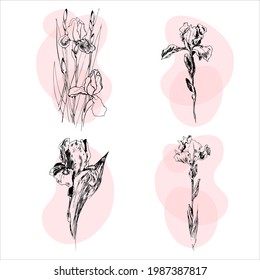  
iris icon set on the white background