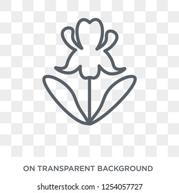 Iris icon. Trendy flat vector Iris icon on transparent background from nature collection. High quality filled Iris symbol use for web and mobile