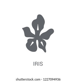Iris icon. Trendy Iris logo concept on white background from Nature collection. Suitable for use on web apps, mobile apps and print media.