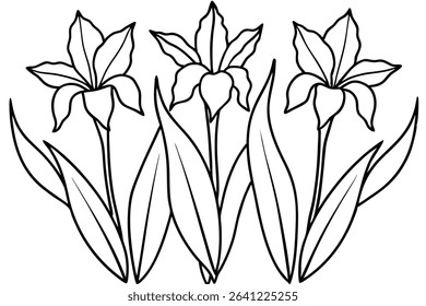 Iris Leaf Line Art Intricate Sketch for Floral Artwork (1)