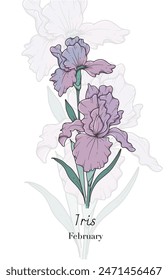 Iris Line Art. Ilustración vectorial de flores de iris. Flor del mes de nacimiento de febrero. Contorno de iris aislado en blanco. Ilustración botánica de arte de línea dibujada a mano.