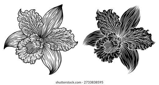 Iris linha de ilustração vetorial de arte conjunto isolado no branco. Esboço de tinta preta de flor. Design moderno minimalista desenhado à mão.