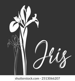 Íris para logotipo, decorações, cartão. convite. Linha branca desenhada à mão e silhueta. Decoração de casamento de linha desenhada à mão, folhas elegantes para o convite salvar o cartão de data. 