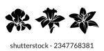 Iris, narcissus, and lily flowers. Set of black silhouettes of flowers isolated on a white background. Vector illustration