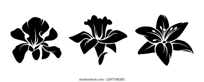 Iris, narcissus, and lily flowers. Set of black silhouettes of flowers isolated on a white background. Vector illustration