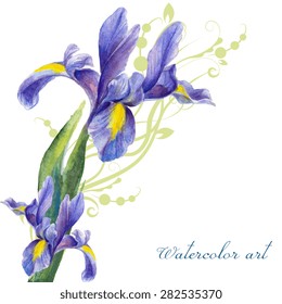 Iris, painted watercolor on a background of abstract vegetation