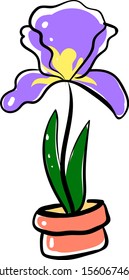 Iris en olla, ilustración, vector sobre fondo blanco.