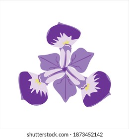 iris purple white Flower digital design graphic 2d hd illustration