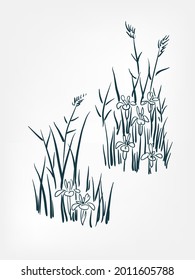 iris reeds flower plant vector illustration japanese chinese ink line sketch