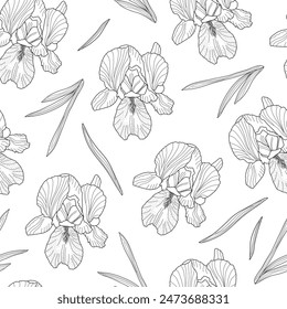 Iris spring garden flower hand drawn outline seamless pattern, repeat floral ornament for textile, fabric, gift paper, February birth month flower, botanical vintage illustration for fashion prints