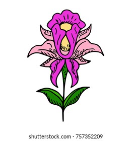 Iris vector illustration. Doodle style. Design, print, logo, decor, textile, paper