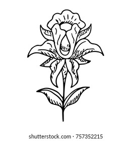 Iris vector illustration. Doodle style. Design, print, logo, decor, textile, paper