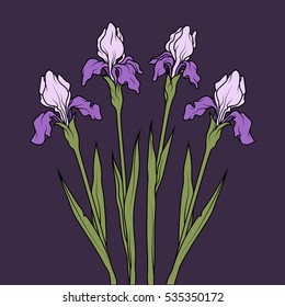 Iris vector set