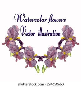 iris vector.drawing iris.flowers vector