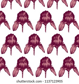Iris vintage hand-drawn pattern