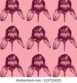 Iris vintage hand-drawn pattern