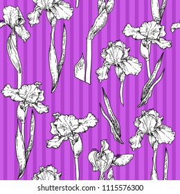 Iris violet pattern