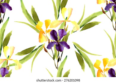 Iris, watercolor, can be used as greeting card, invitation card for wedding, birthday and other holiday and summer background. Vector illustration. 