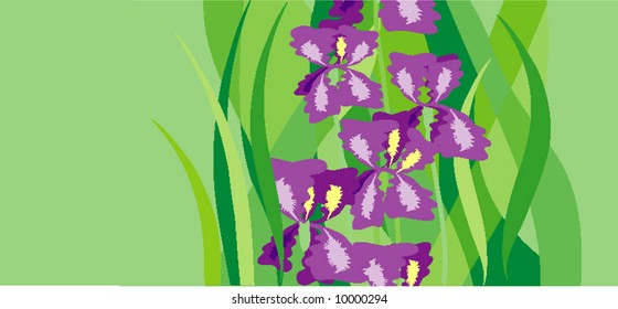 Irises