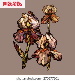 irises