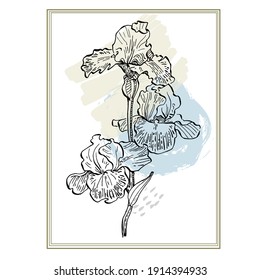 Antecedentes irlandeses para plataformas de medios sociales, historias, pancartas con formas abstractas, hojas. Ilustración de dibujo manual.