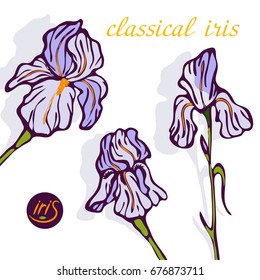 Irises blooming,
bright,
different,
drawing,
flat,
flowering,
icons,
illustration,
iris,
lilac,
logo,
middle,
natural,
purple,
set,
tender,
yellow,
bouquet of flowers,
flowers vector,
irish background
