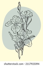 Irische botanische Wandkunst-Vektorgrafik. Sketch boho Blattlinie Zeichnung mit abstrakter Form. Zeichnen Sie Pflanzendesign für Druck, Deckel, Tapeten, minimale und natürliche Wandkunst.