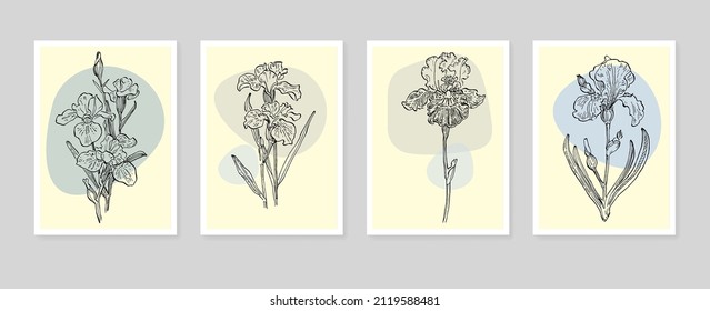 Irises botanical wall art vector. Sketch boho foliage line art drawing with abstract shape. Draw plant art design for print, cover, wallpaper, minimal and natural wall art.