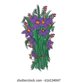 Irises. A bouquet of spring flowers, belted with a lace. Large, purple buds and green leaves. Red berries on the branches. A bunch of flowers. Black outline. Freehand sketch. 