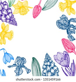 irises, daffodils, crocuses, hand drawing, background, vector illustration