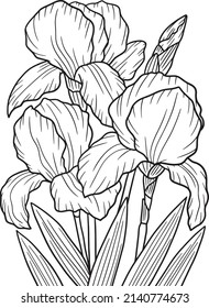Irises Flower Coloring Page for Adults