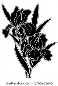 Irises flowers Black silhouette - stock illustration. Iris - two flowers, a bud and leaves - a black vector silhouette for a logo or pictogram.