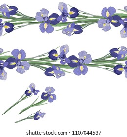 irises flowers vector