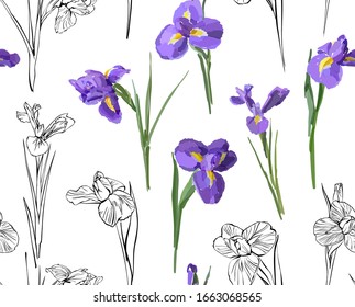 Irises flowers vector seamless background pattern hand drawn. Vector illustration. Textile design, wrapping paper.