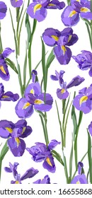 Irises flowers vector seamless background pattern hand drawn. Vector illustration. Textile design, wrapping paper.