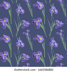 Irises flowers vector seamless background pattern hand drawn. Vector illustration. Textile design, wrapping paper.