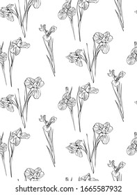 Irises flowers vector seamless background pattern hand drawn. Vector illustration. Textile design, wrapping paper.