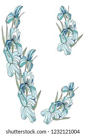 Irises hand drawn for cards, greetings, wedding invitations.