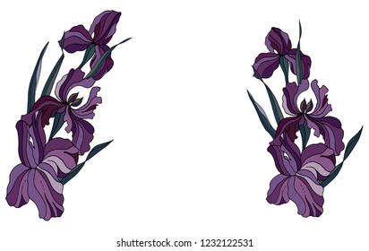 Irises hand drawn for cards, greetings, wedding invitations.