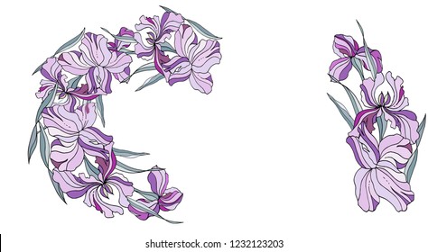 Irises hand drawn for cards, greetings, wedding invitations.