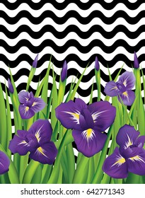 Irises on black lines seamless pattern. Vector Illustration.