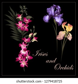 irises and orchids. flowers on the black background