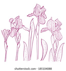 Irises painted hands, line art. Vector illustration