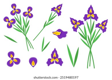 Irrises colocadas. Ilustração de vetor floral de flor florescente no ramo com folhas verdes e broto. Desenho botânico de buquê de íris roxas e violetas