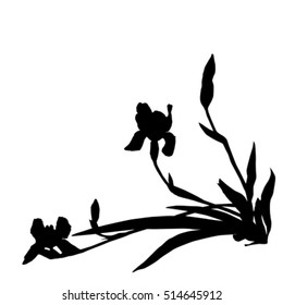 Irises silhouettes, illustration isolated on white