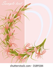 Irises. Vector illustration.